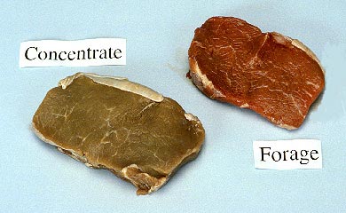 meat comparison